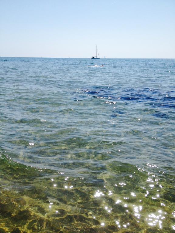 נטונו Hotel Neptunus מראה חיצוני תמונה